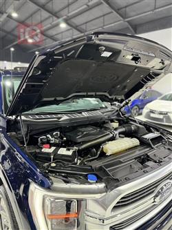 فۆرد F-150